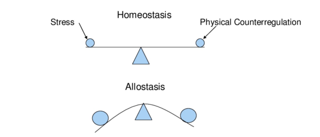 屏幕截图 2025-09-11 153506.jpg
